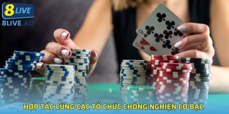 Nhà cái hợp tác cùng các tổ chức chống nghiện cờ bạc Nhà cái hợp tác cùng các tổ chức chống nghiện cờ bạc